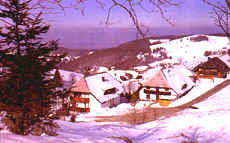 Ferienwohnung Appartement G&auml;stezimmer Zimmer im Schwarzwald