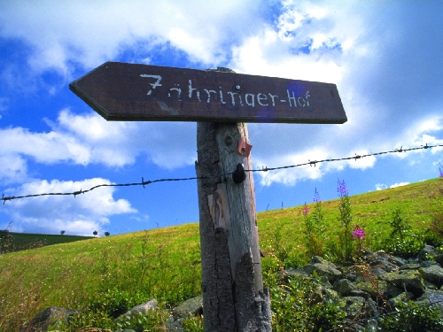 Gasthaus-Pension Zähringer Hof