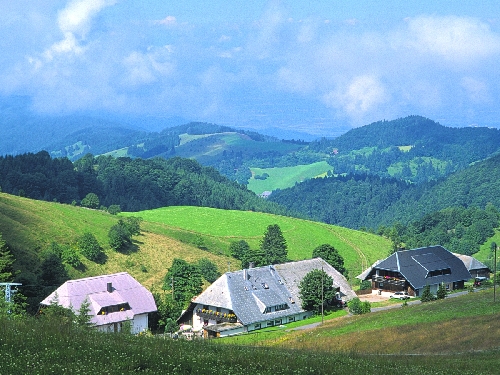 Gasthaus-Pension Zähringer Hof